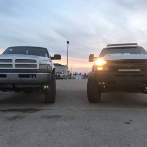 Meet your Posher, Logan